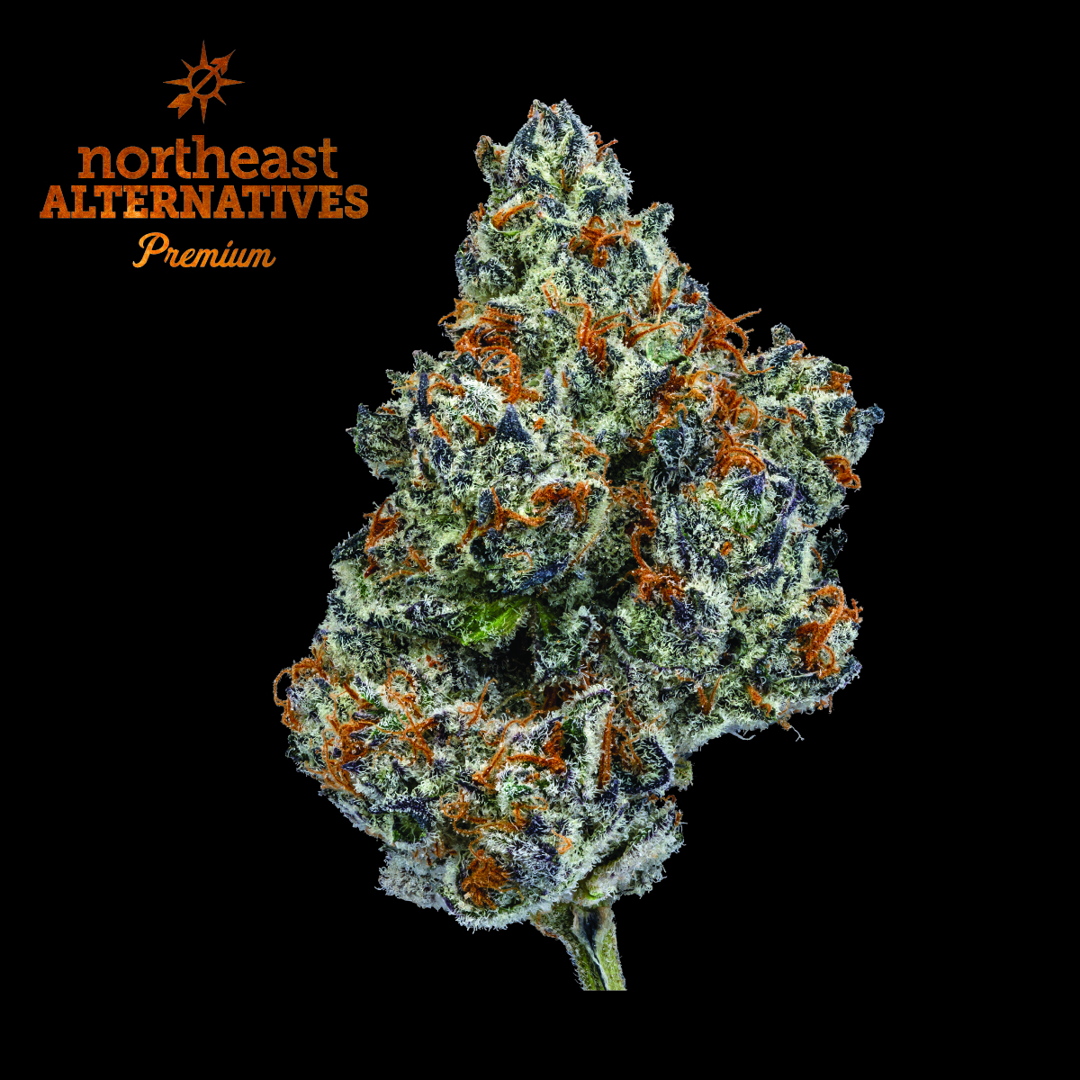 Photograph of product: Oreoz (H) - 3.5g