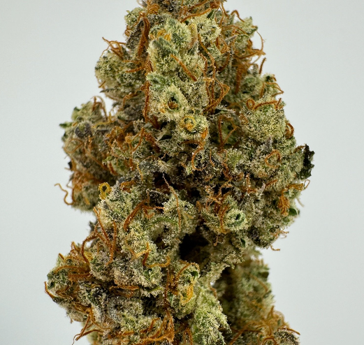 Photograph of product: Jersey Strong Premium Buds | AK-47 | 3.5g (Oui'd)