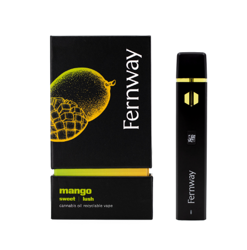 Photograph of product: Mango Disposable | 2g