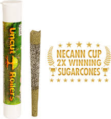 Photograph of product: Mac 1 | Infused Sugarcone