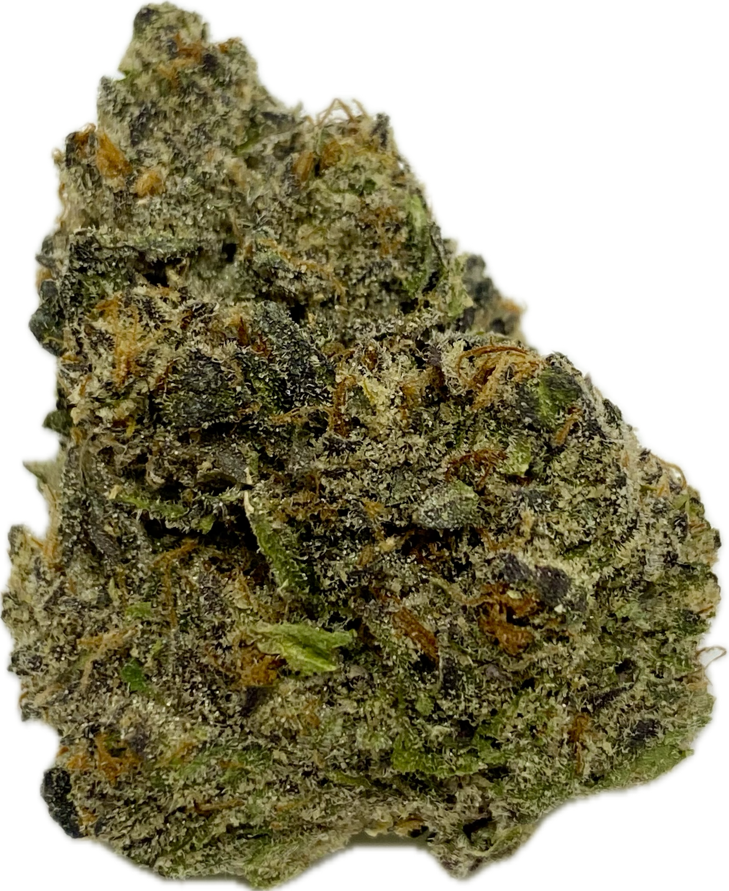 Photograph of product: Grown Rogue - Blue Pinot - Bulk Flower - 1g