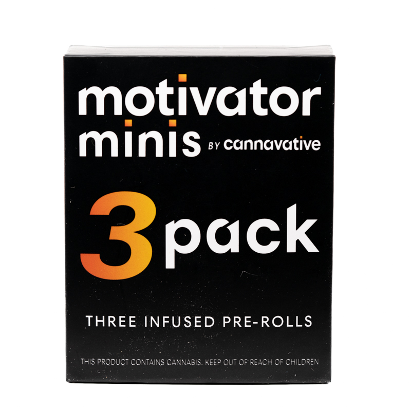 Photograph of product: Head Train Mini Motivator Pr 0.5g 3 Pack {743}