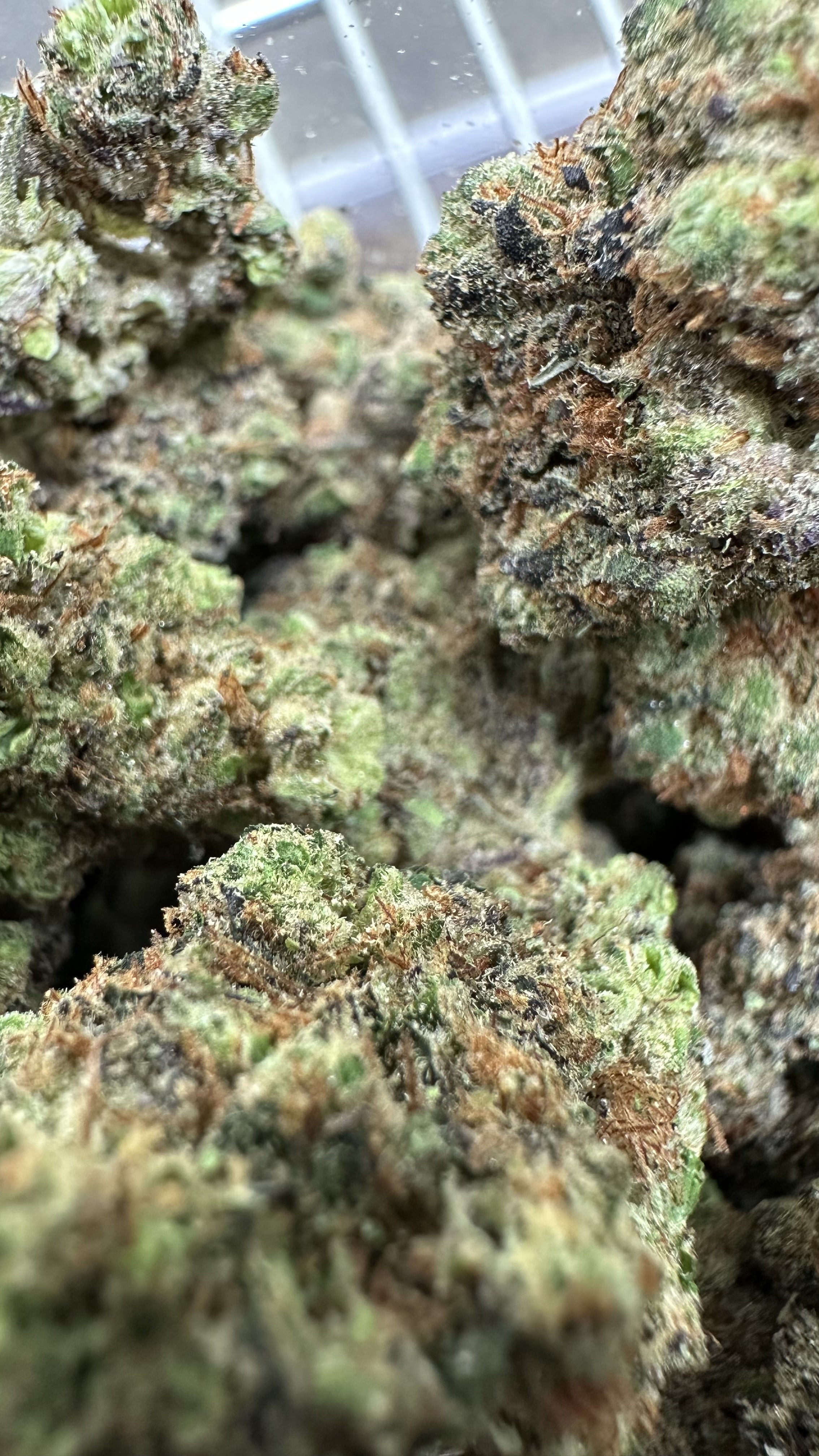 Photograph of product: Triple Burger Bud - 7g