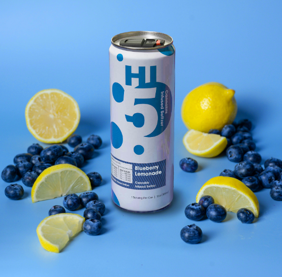 Photograph of product: Seltzer |  Blueberry Lemonade | Single Can