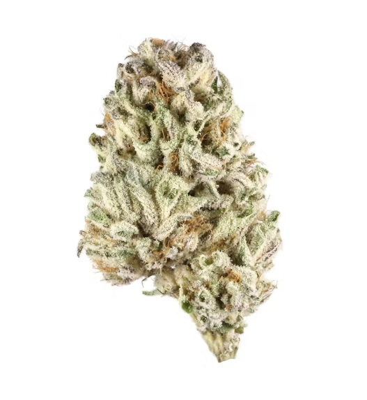 Photograph of product: Jungle Pie - Buds - 3.5g