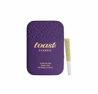 Photograph of product: Toast - Grape Monkey Candy 10pk - 3.5g