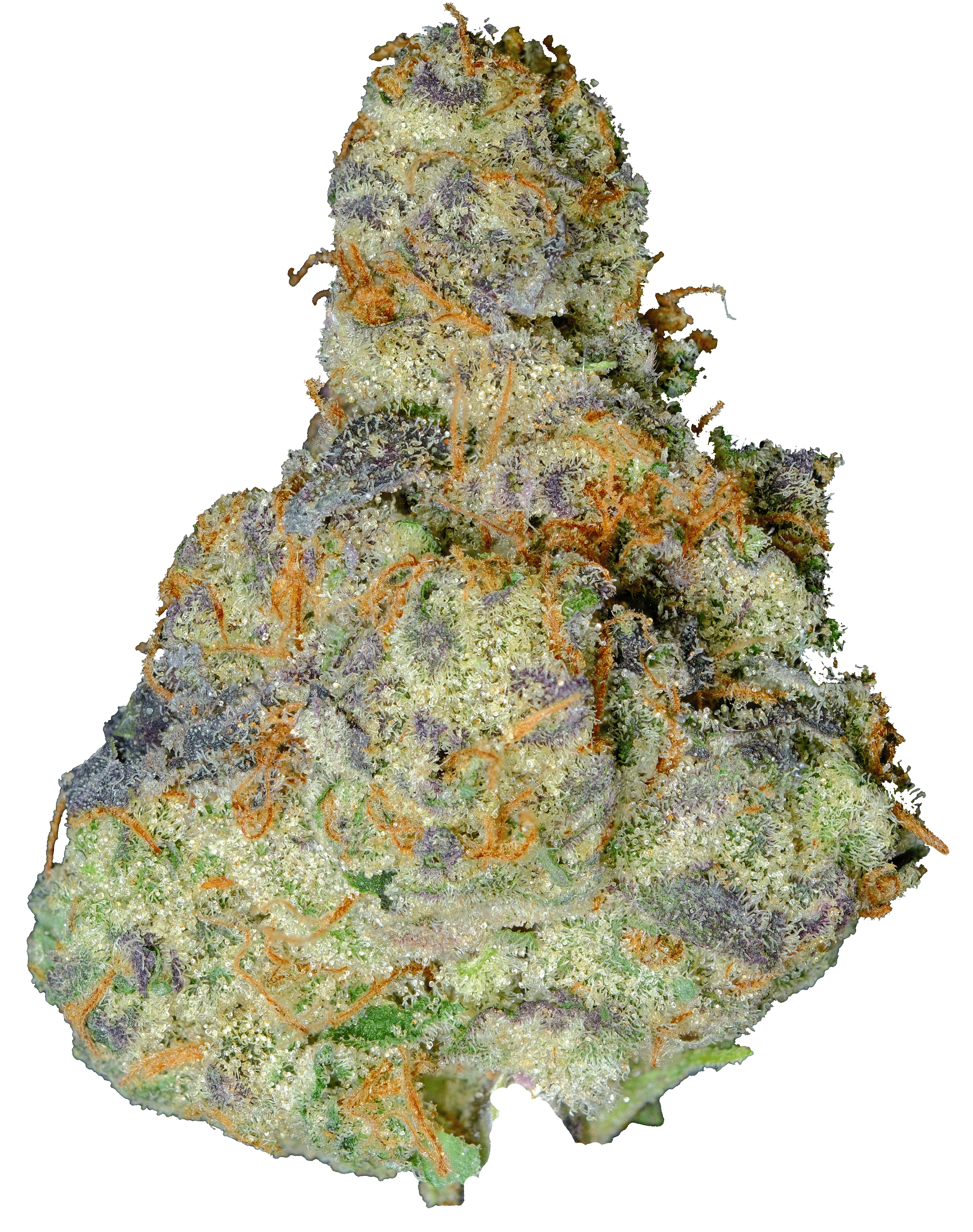 Photograph of product: Stardawg - 3.5g
