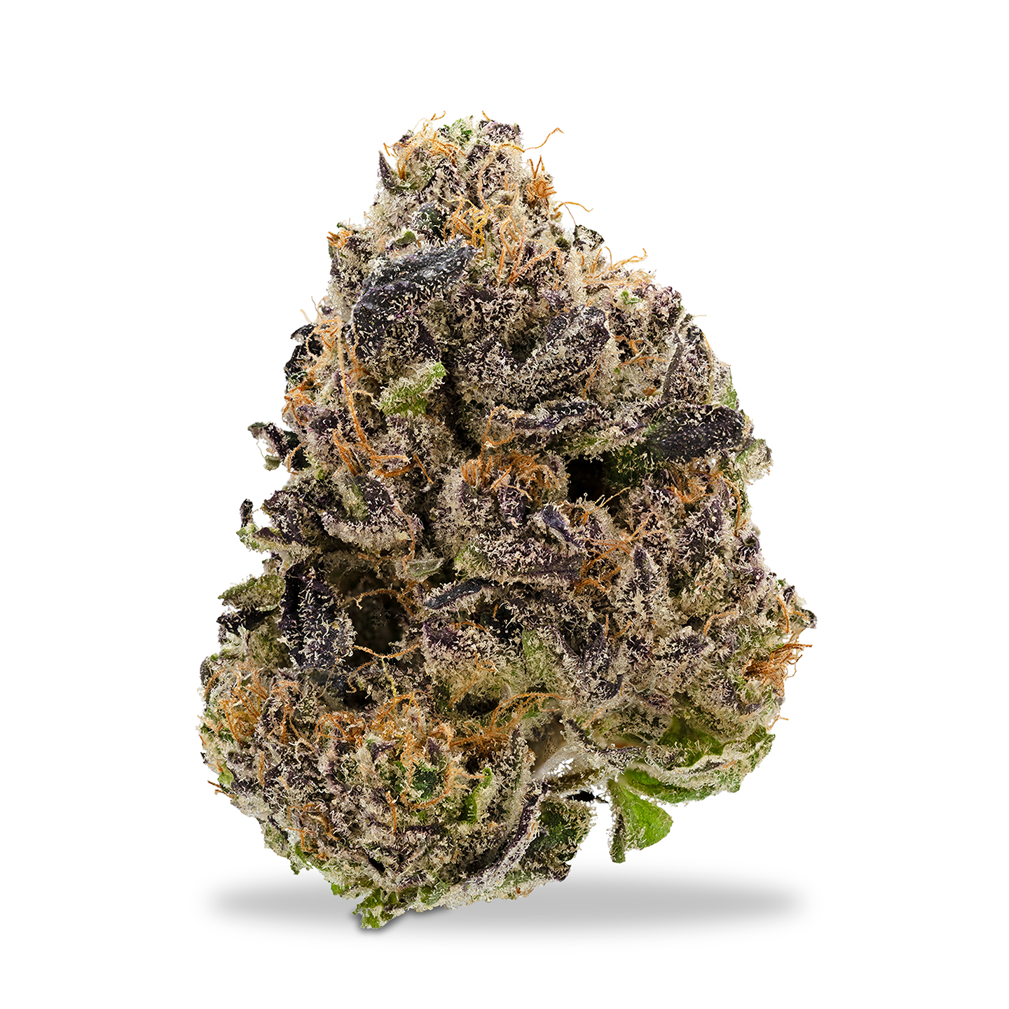 Photograph of product: Lofty - Pudz - 1g