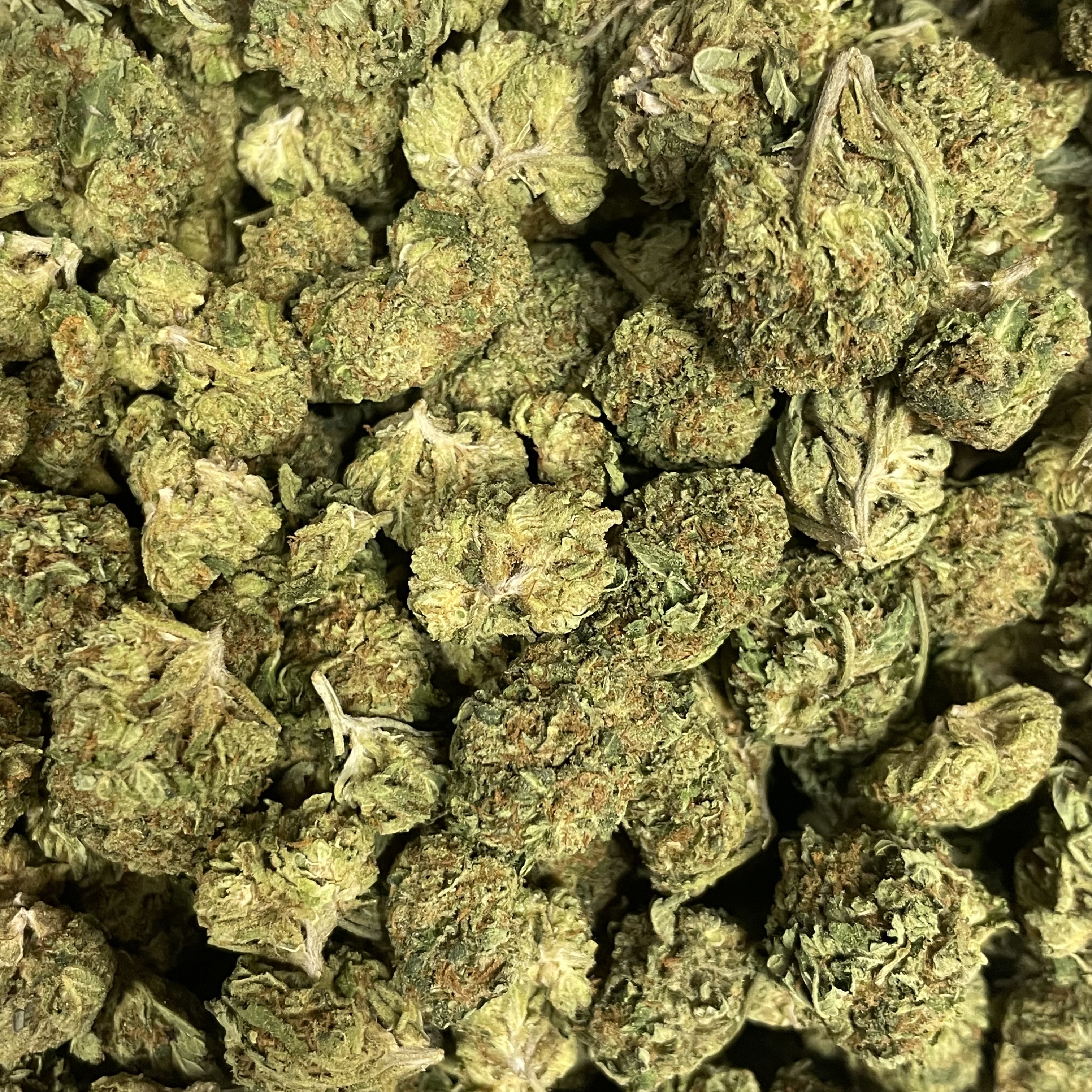 Photograph of product: Acai Gelato (Grass Roots) - 28g