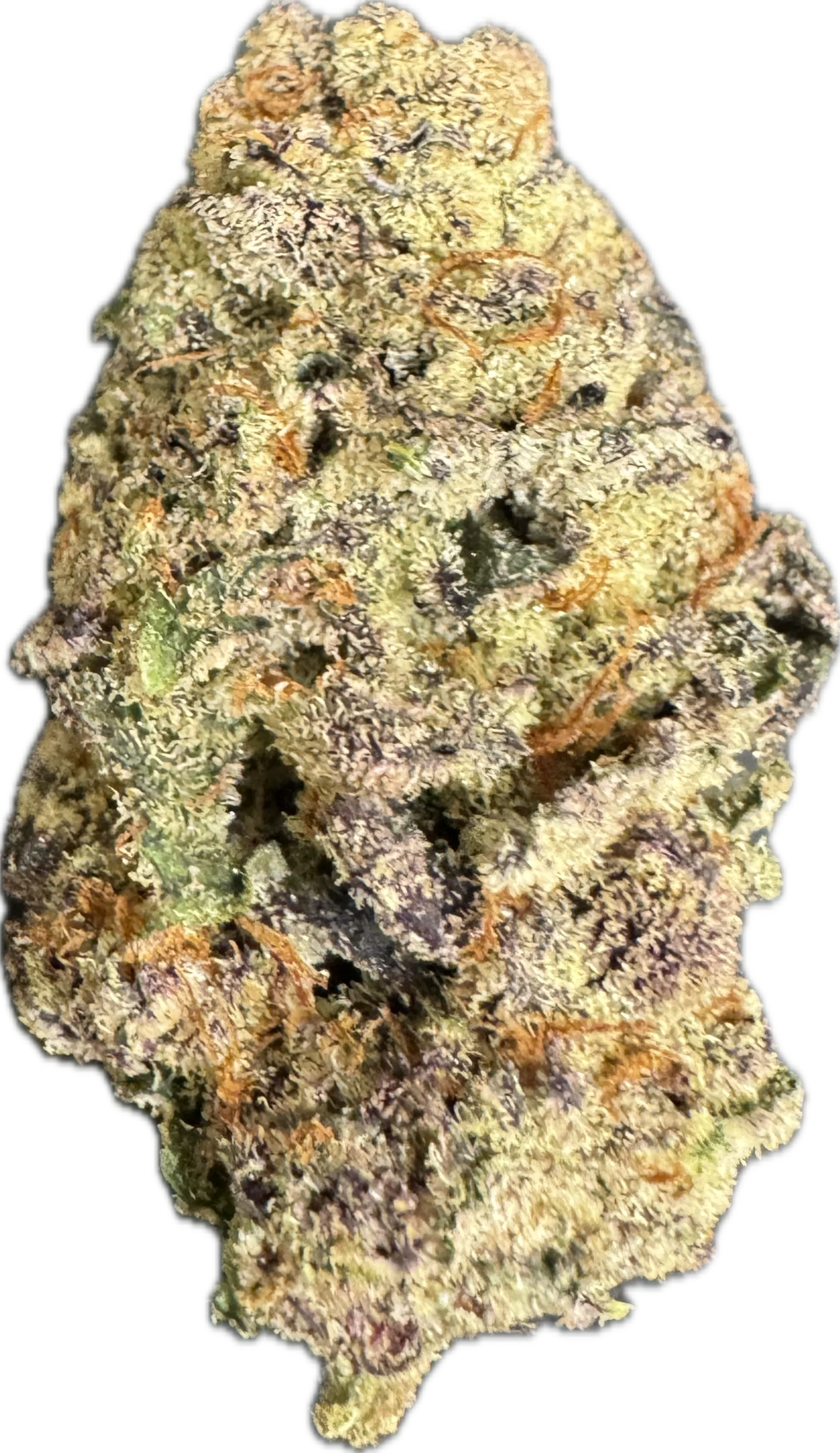Photograph of product: Bigz Recreational Gorilla Gas Flower 3.5g (I/H)
