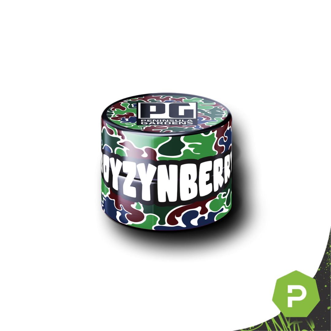 Photograph of product: Boyzynberry | 1g Live Rosin
