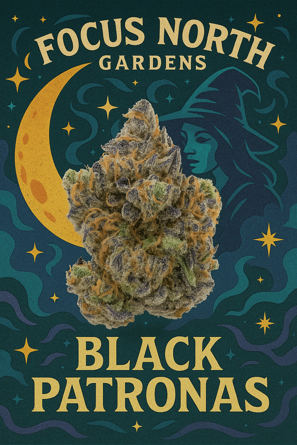 Photograph of product: Focus North | Black Patronus - 14g