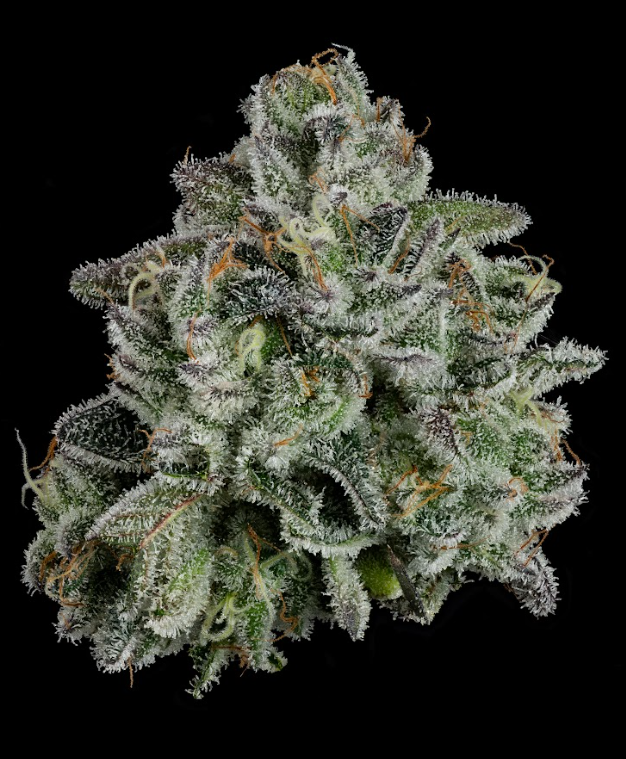 Photograph of product: Whoopie Pie Smalls - 3.5g