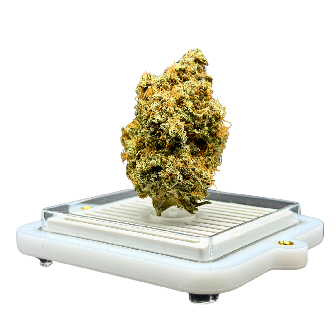 Photograph of Product: Acapulco Gold - 3.5g