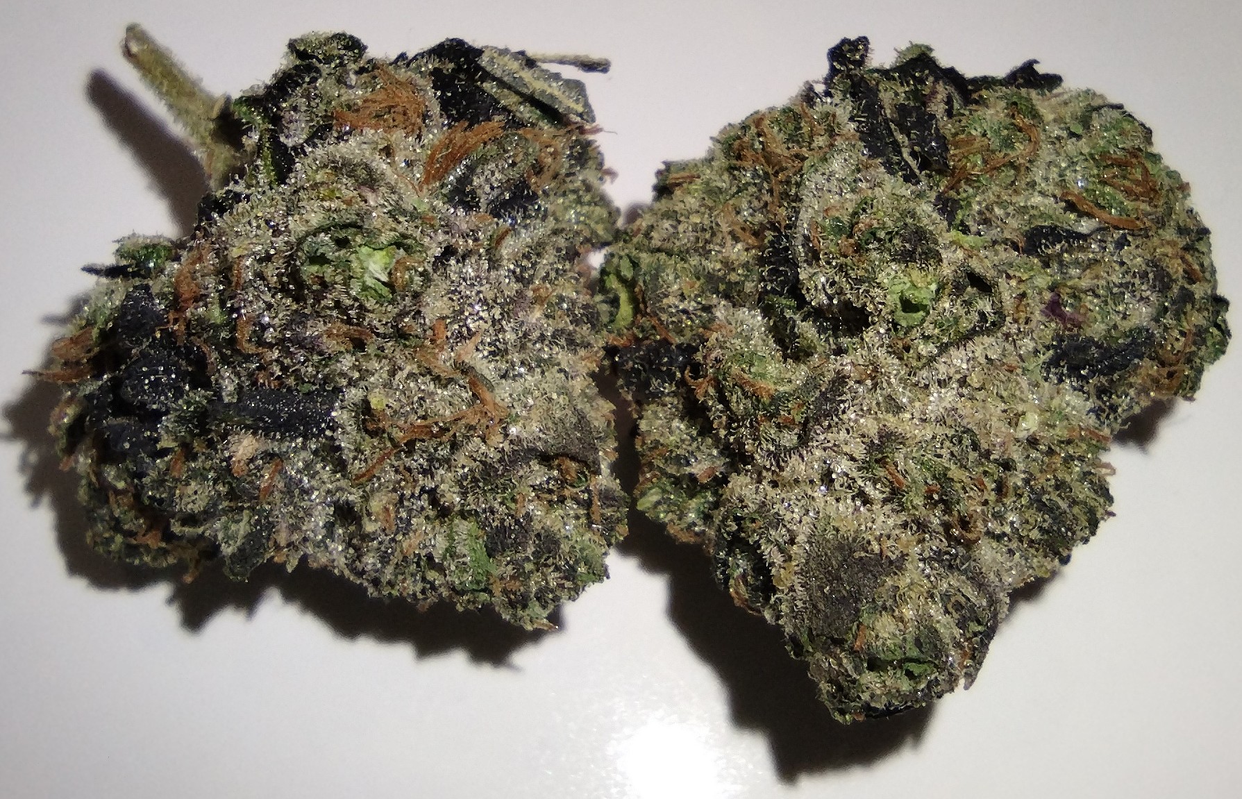Photograph of product: Dakota Natural Growers - Pink Fritter - 28g - Flower