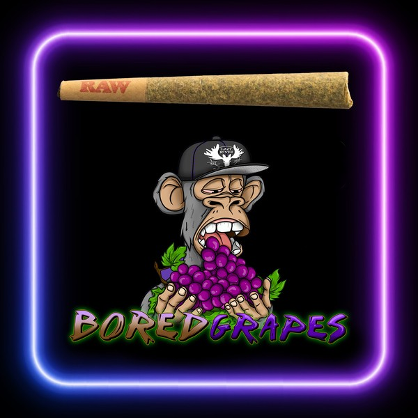 Photograph of product: Bored Grapes - (5 pack)