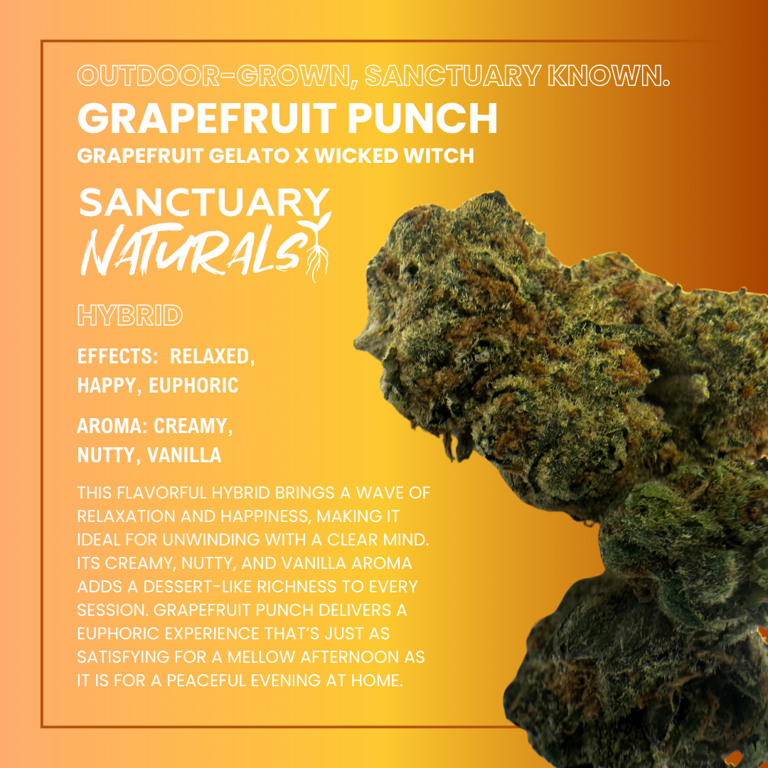 Photograph of product: Sanctuary Naturals 3.5g Grapefruit Punch