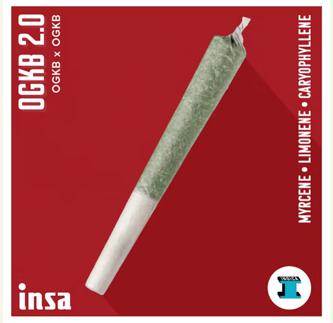 Photograph of product: Insa | OGKB 2.0 | PRJ | 1g