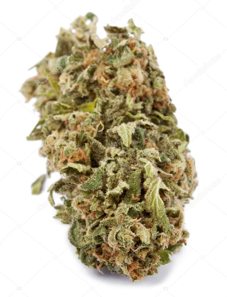 Photograph of product: Sour Tangie - NSM - 3.55g