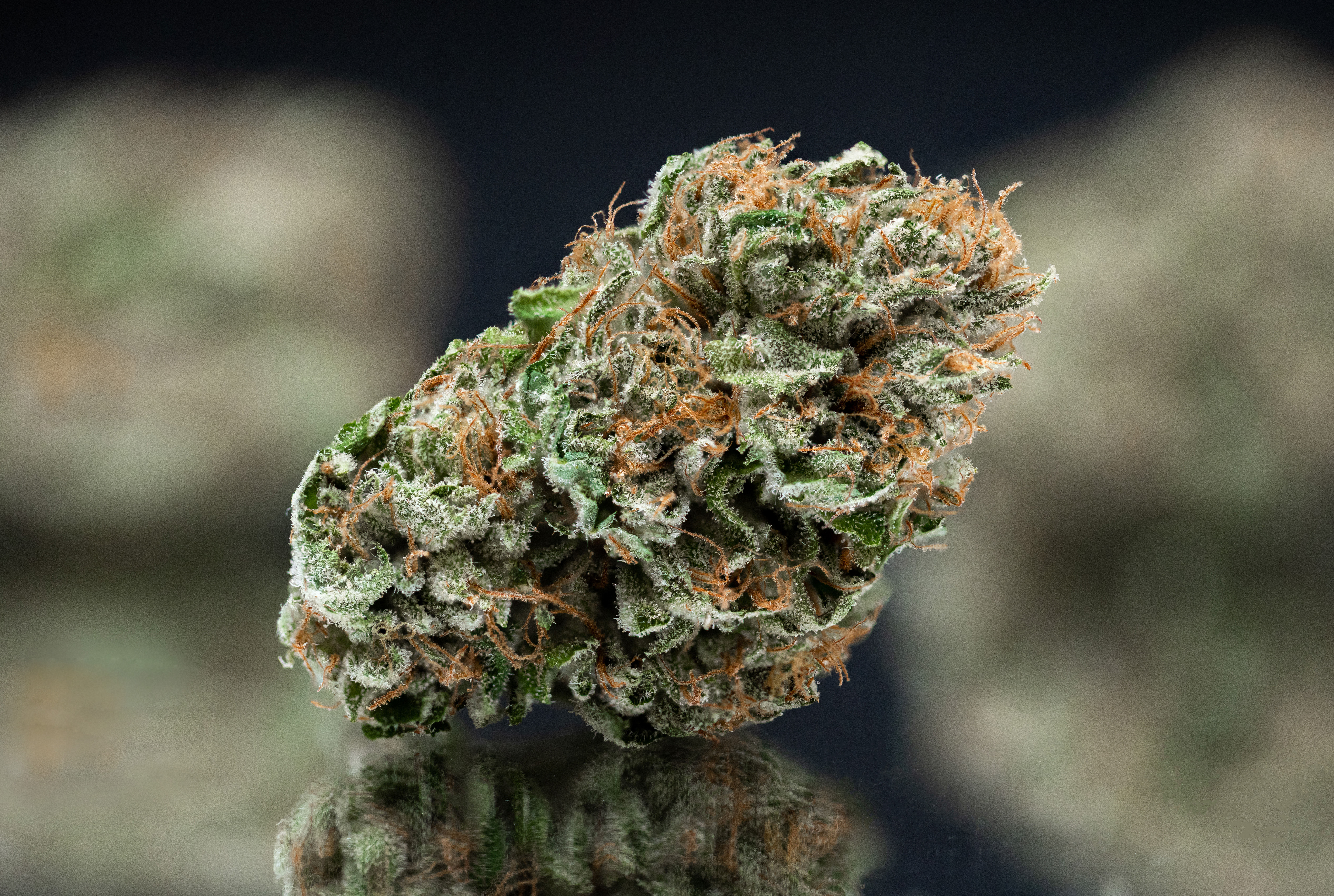 Photograph of product: Mega Wellness OG - 3.5g