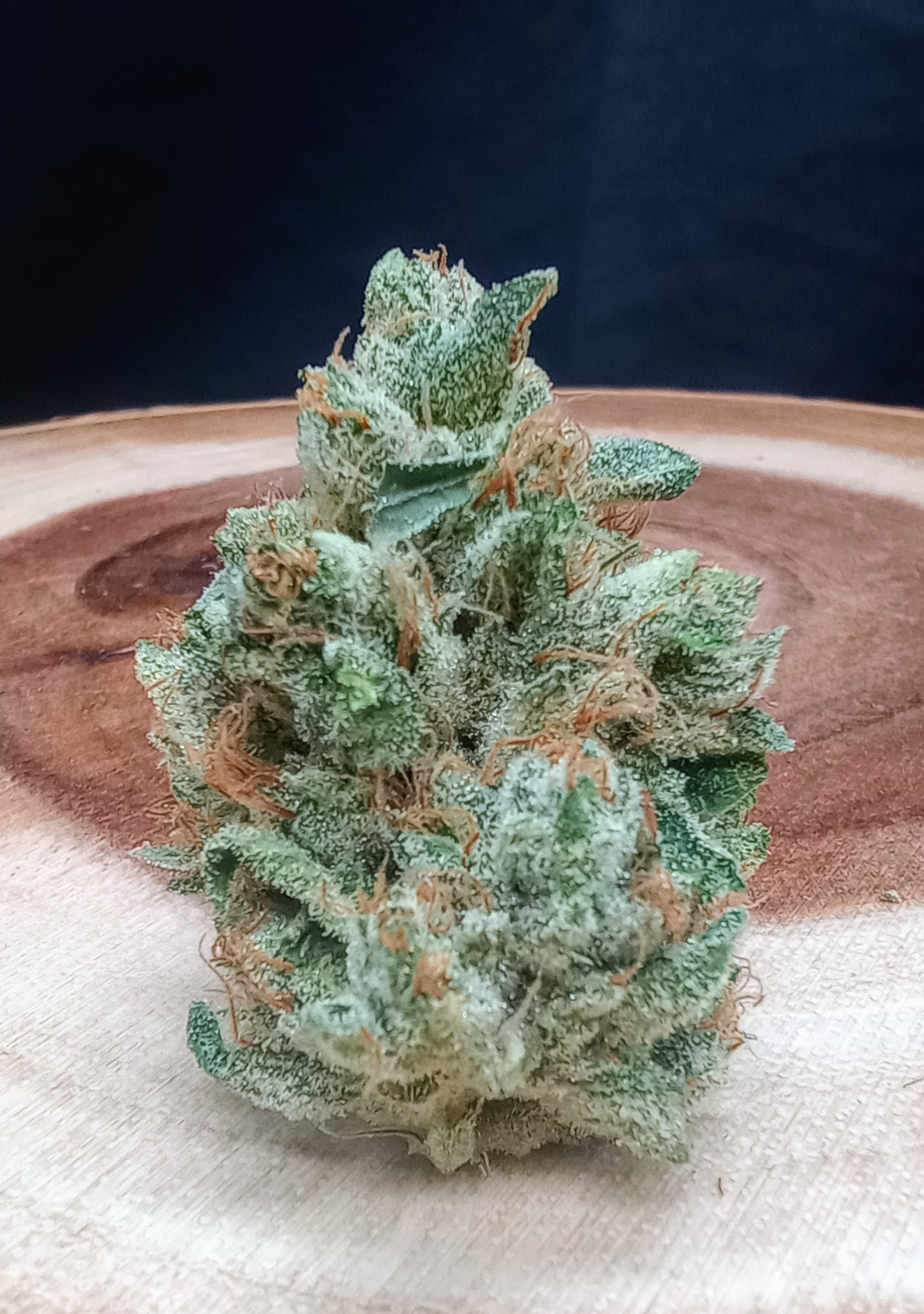 Photograph of product: MPK x SFV x Headbanger - 33.5g