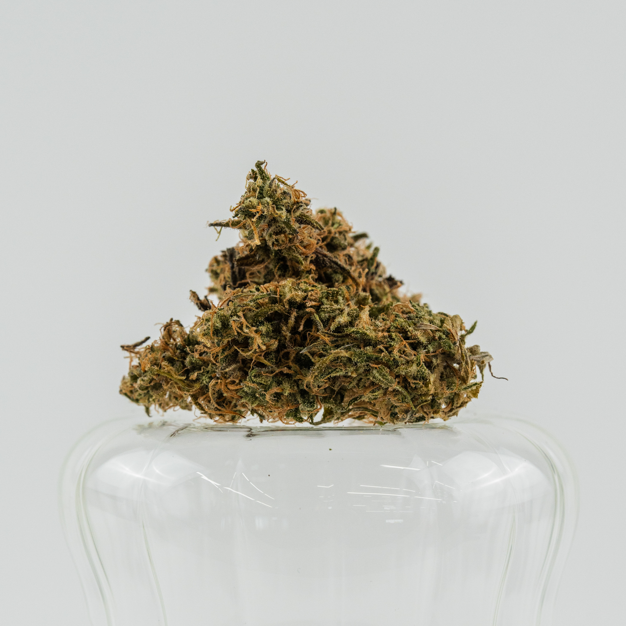 Photograph of product: Divina Obscura - 28g