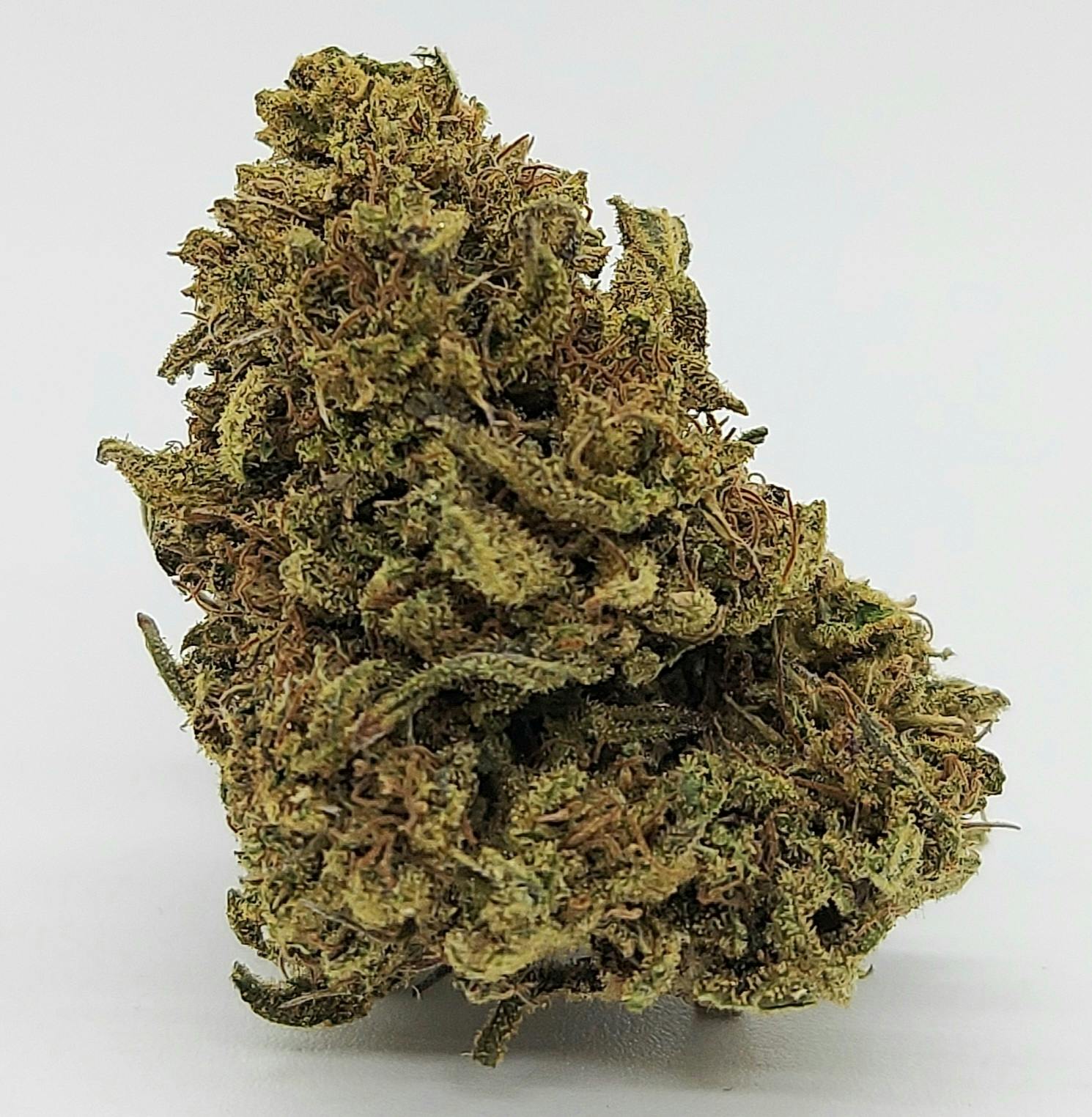 Photograph of product: ACDC Cookies
