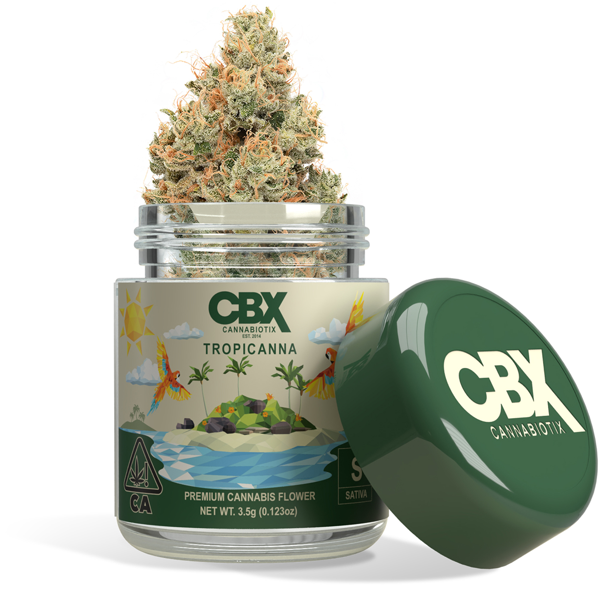 Photograph of product: CBX 8th Tropicanna Oui'd