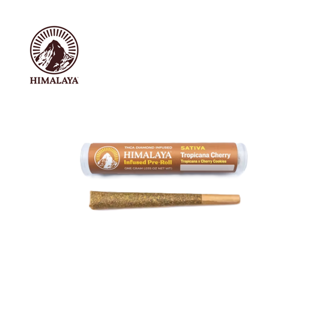 Photograph of product: TROPICANA CHERRY 1G INFUSED PREROLL