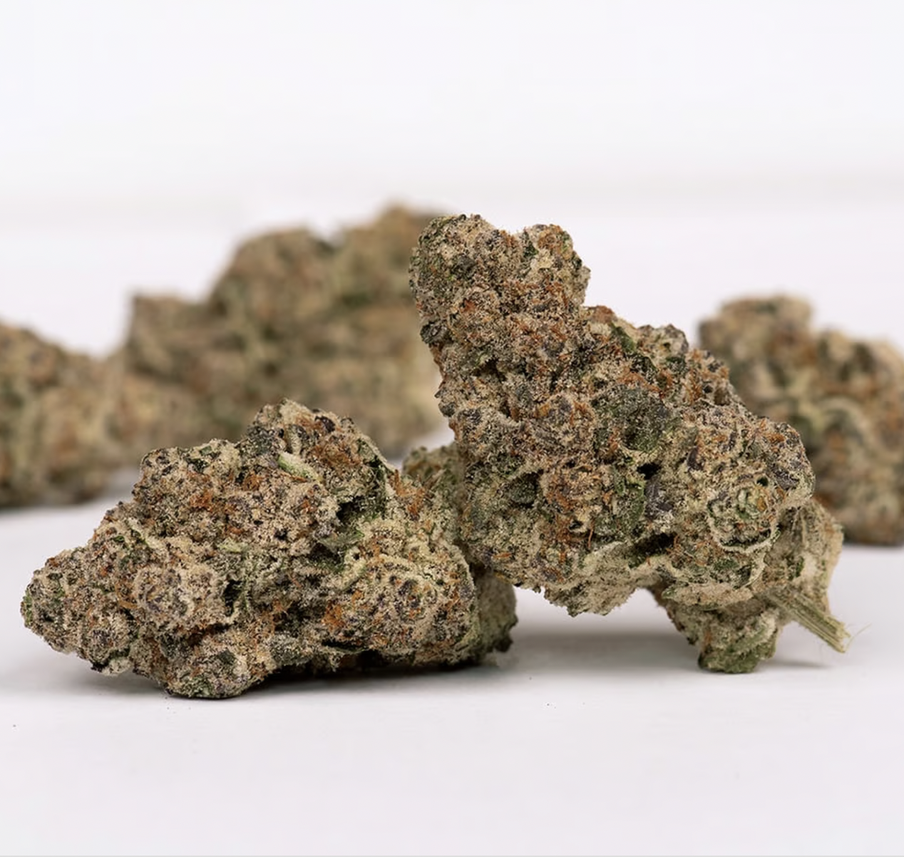 Photograph of product: Grape Cream Cake - Buds - 3.5g