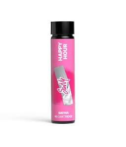 Photograph of product: Summer Melon | Cartridge | 1g