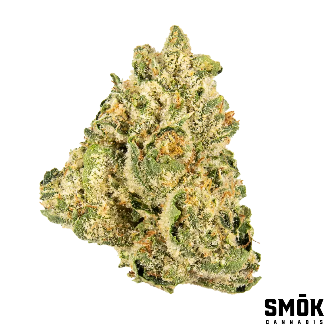 Photograph of product: Jungle Cake - 28g