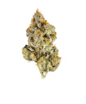 Photograph of product: The Soap - 28g