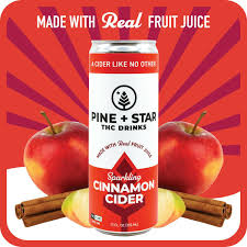 Photograph of Product: Pine + Star | 5mg Infused Beverage | Cinnamon Cider