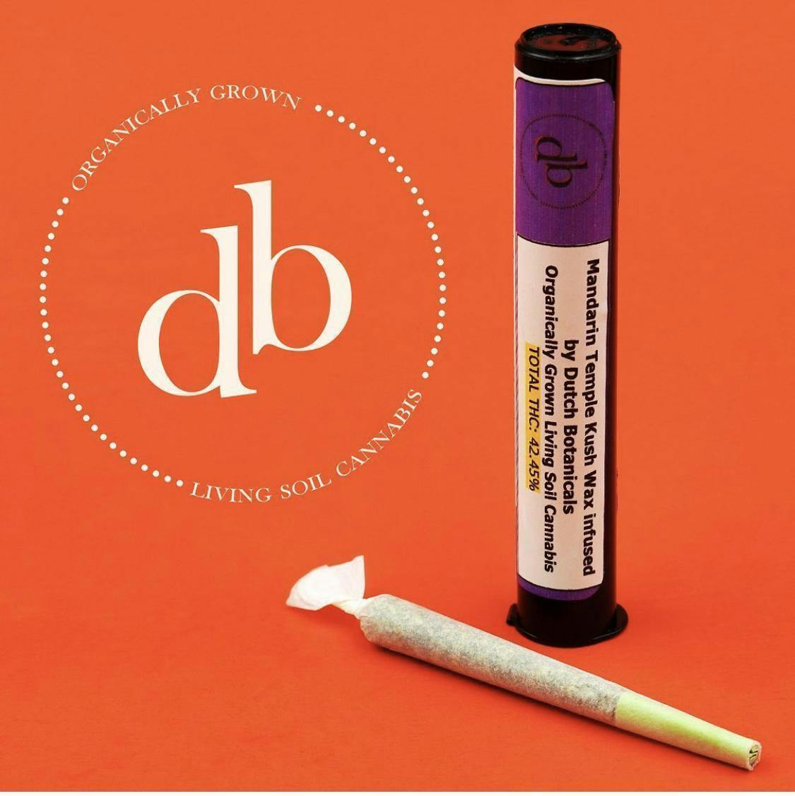 Photograph of product: Dutch Botanicals Infused Rosin Apple Berry 1g