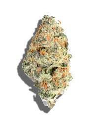 Photograph of product: Elysium | Sonic Strawberry | Flower | Bulk/Deli - 14g