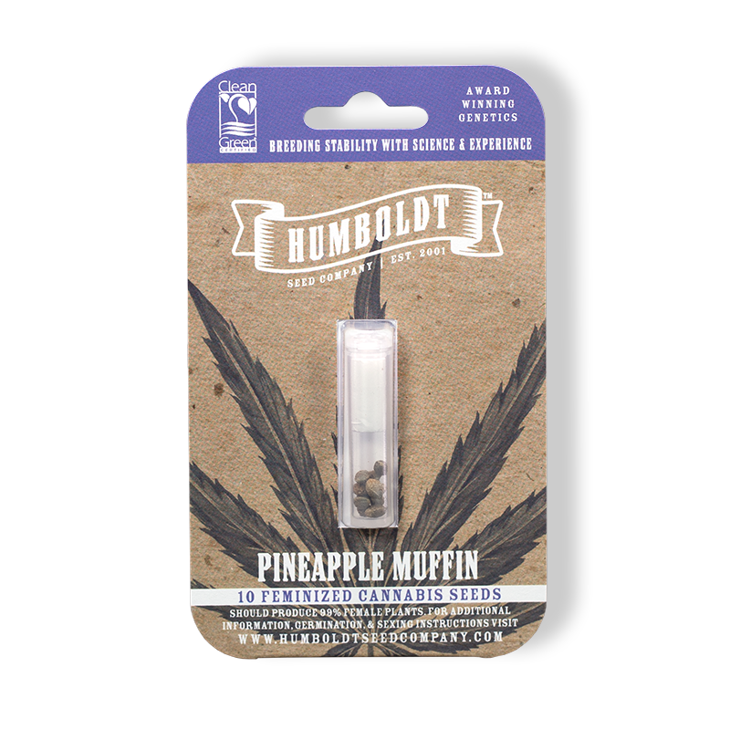 Photograph of product: Pineapple Muffin (10 fem) - Pine State / Humboldt Seeds
