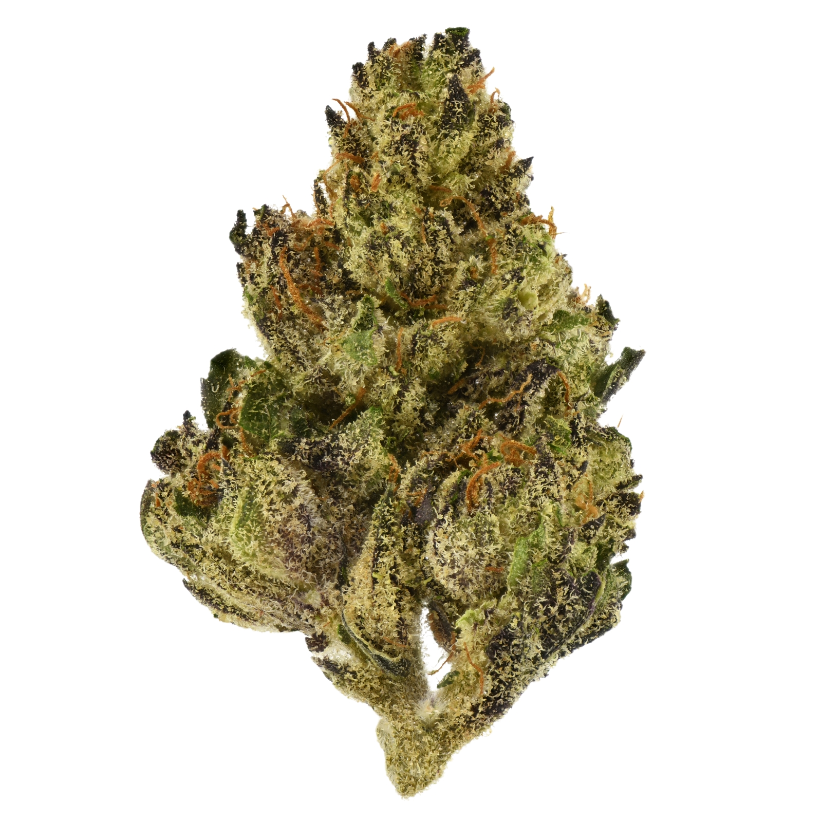 Photograph of product: Releaf Sungrown | Penny Royal Kush - 1g