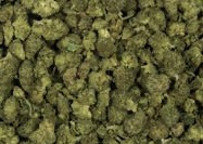 Photograph of product: Cheetah Piss TH-oui 24.16% | SMALLS - 1g