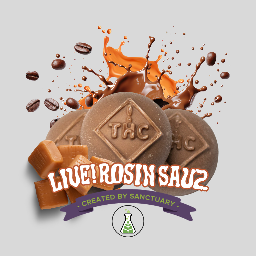 Photograph of product: Live Rosin Sauz Java Carmel Milk Chocolate Bites 60mg 6pk