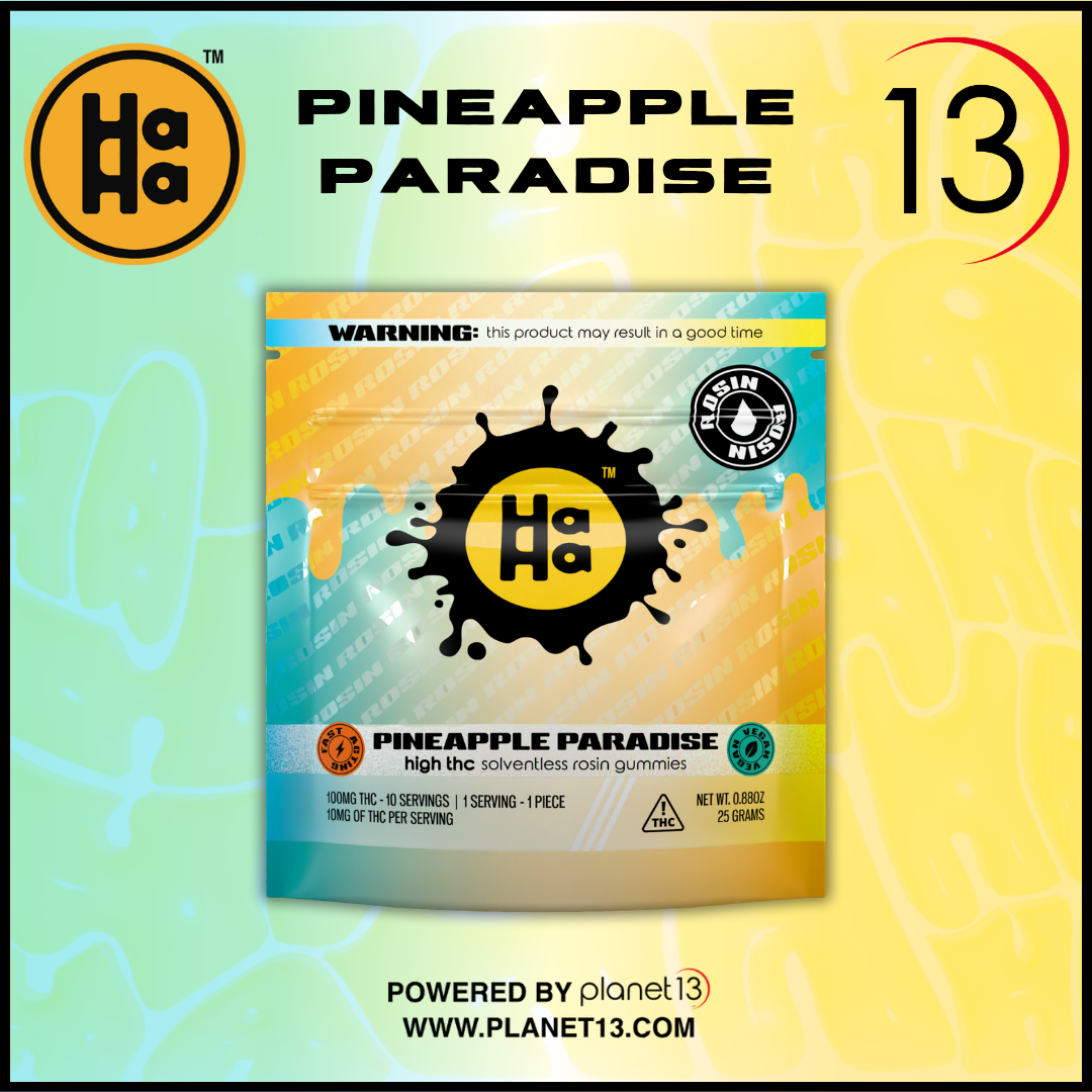 Photograph of product: Haha Pineapple Paradise Rosin Gummies
