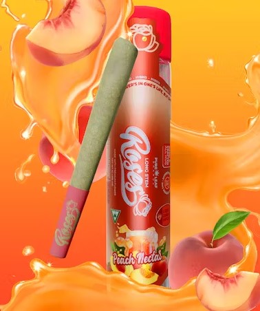 Photograph of Product: PR | Peach Nectar | 1g | Infused | Long Stem | Roses