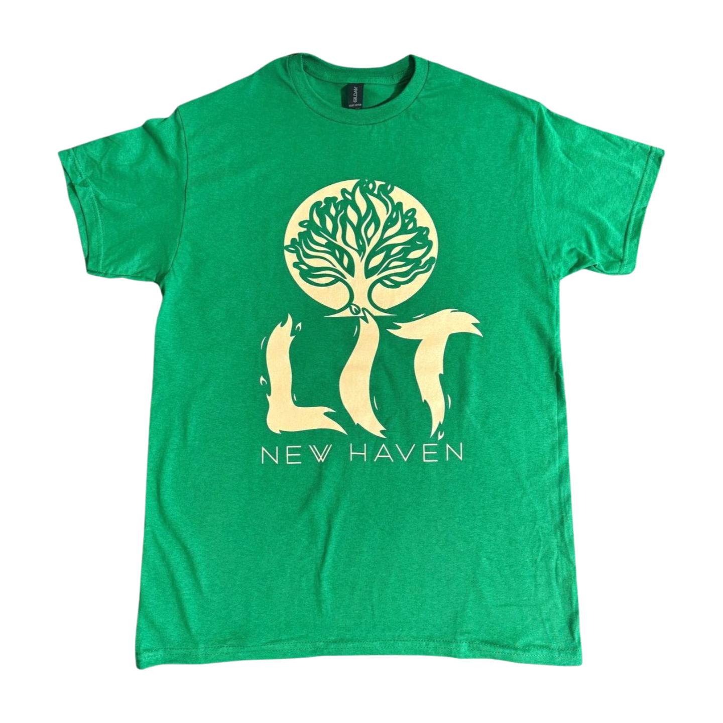 Photograph of product: LIT | Tee | T-Shirts | Green (XL)