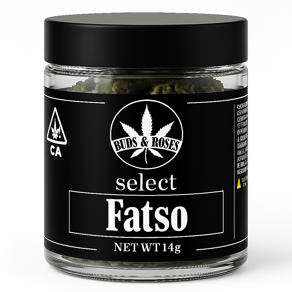 Photograph of product: - Fatso - 14.2g