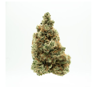 Photograph of product: Sherb Co Flower | T19% | 00527 - 3.5g