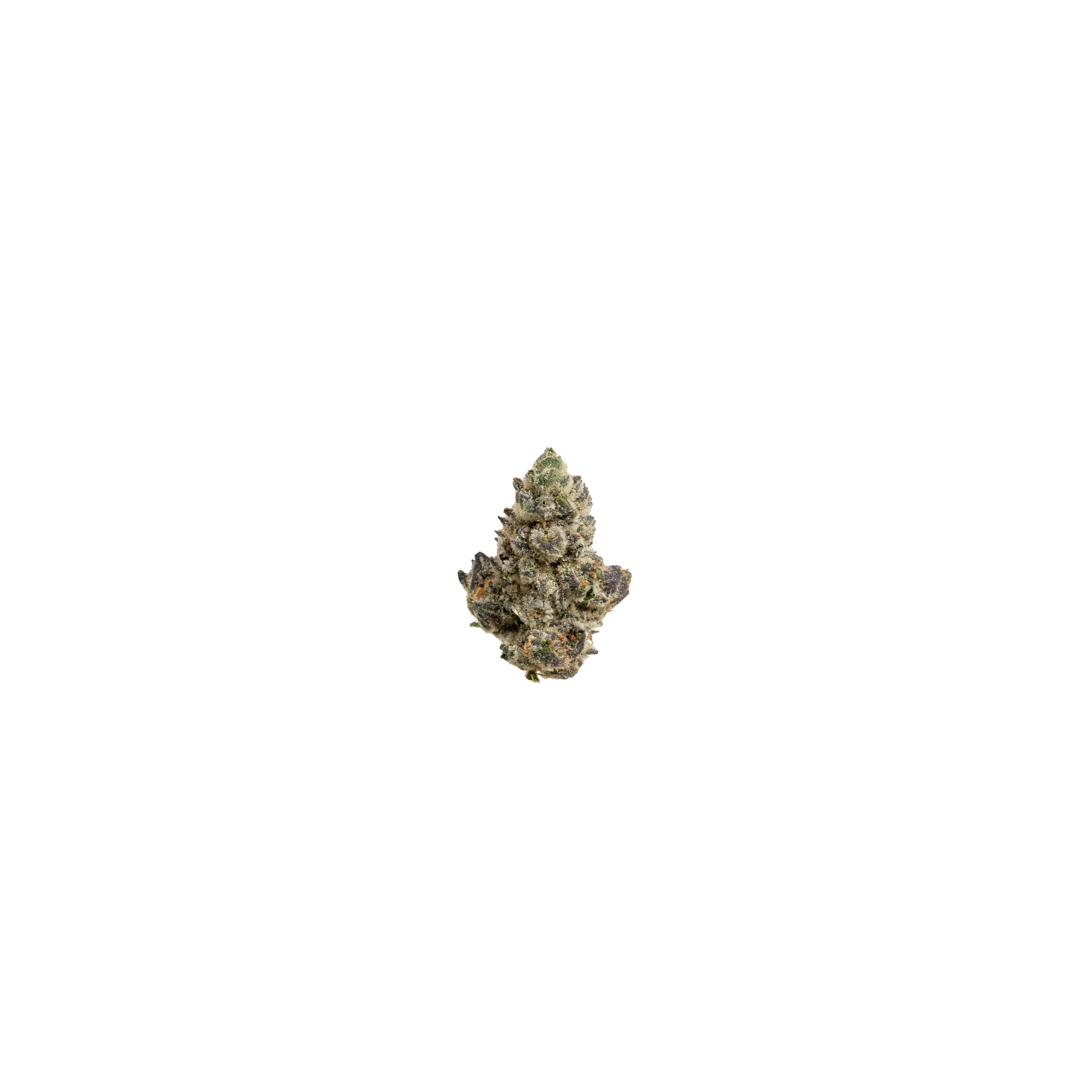 Photograph of product: Firestar Animal Tsunami Flower 3.5g