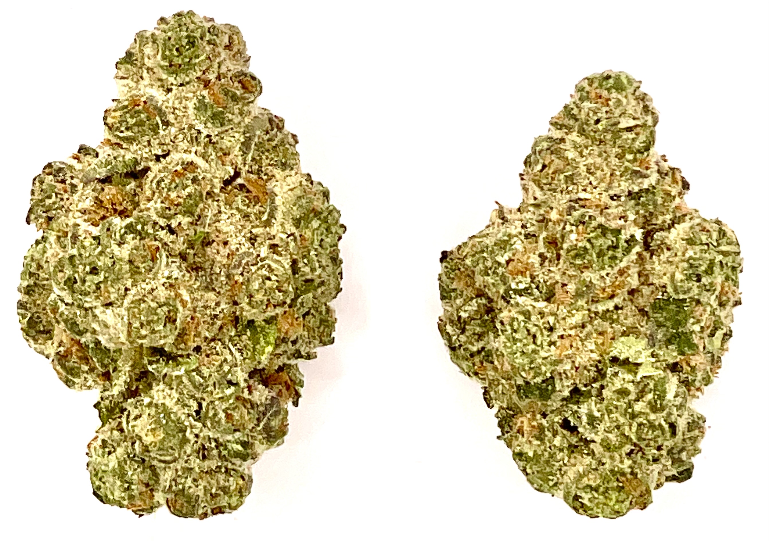 Photograph of product: Buds | Lato Berry - 7g