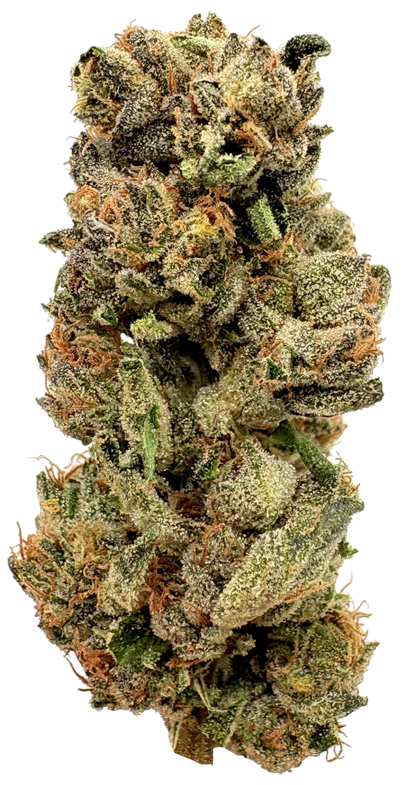 Photograph of product: Chameleon Craft | Durban Honey | 4.2G