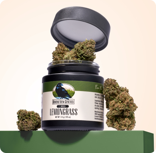 Photograph of product: Lemongrass | 3.5g Flower | Raven's View Genetics
