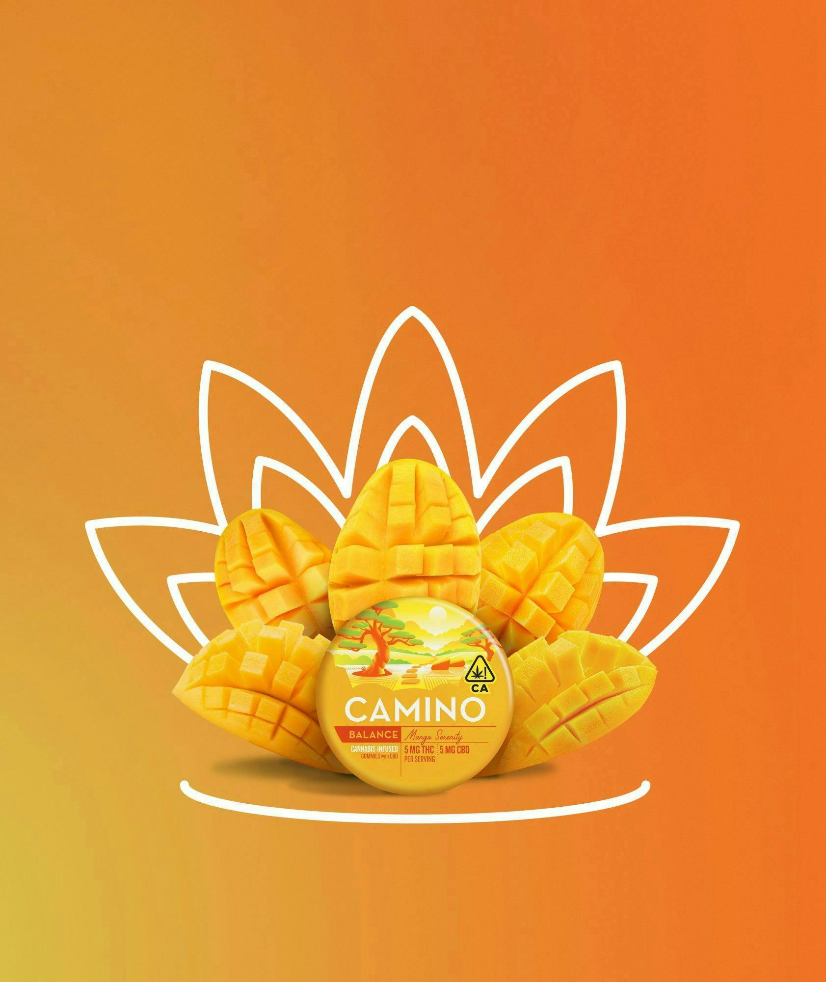 Photograph of product: Camino - Mango Serenity 1:1 TH-oui/CBD - balance